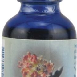 Elm Flower Essence Healing Herbs Gotas - 30ml: Revitalize Sua Energia e Bem-Estar