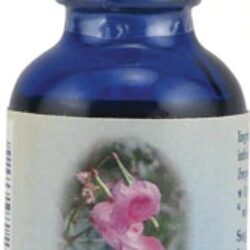 Essência Floral Flower Essence Healing Herbs® Impatiens - 30ml: Alívio Natural para Impaciência e Agitação