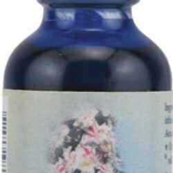 Flower Essence Healing Herbs® Castanha Branca (White Chestnut) - 30ml: Serenidade Mental e Foco Renovado