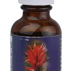 Essência Floral Indian Paintbrush - 29.5ml: Vitalidade e Coragem para Sua Jornada