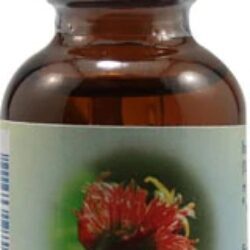 Essência Floral Orgânica de Faia (Beech) - Gotas 30ml - Bem-Estar Emocional e Equilíbrio