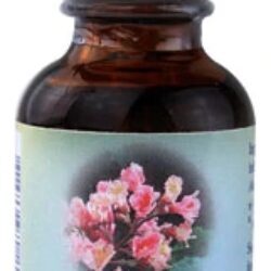 Suplemento Floral de Castanha Vermelha (Red Chestnut) - 30ml - Bem-Estar Emocional