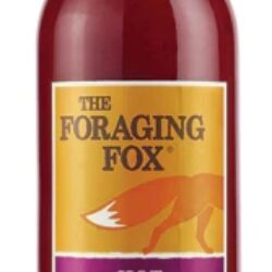 Ketchup de Beterraba Foraging Fox Hot - Picante e Saudável (255g)