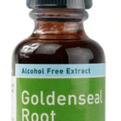 Gaia Herbs Raiz de Goldenseal Sem Álcool 222mg (Aprox. 6.6ml) - Suporte Imunológico Natural