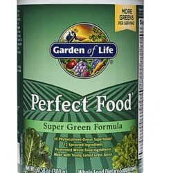 Garden of Life Perfect Food® Super Green Formula Pó 299g - Vitalidade e Nutrição Completa