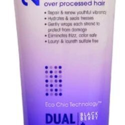 Giovanni 2chic® Repairing Shampoo Amora e Leite de Coco - 251ml: Reparação Profunda para Cabelos Danificados