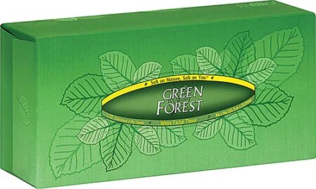 Green Forest 100% Recycled Facial Tissue -- 175 Tissues