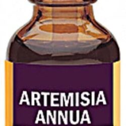 Extrato de Artemisia Annua Herb Pharm - Bem-Estar Ótimo | 30ml (1 fl oz)