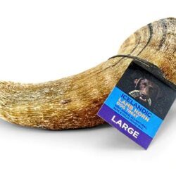 Osso de Chifre de Cordeiro Premium Icelandic Plus Grande 113g - Petisco Natural para Cães
