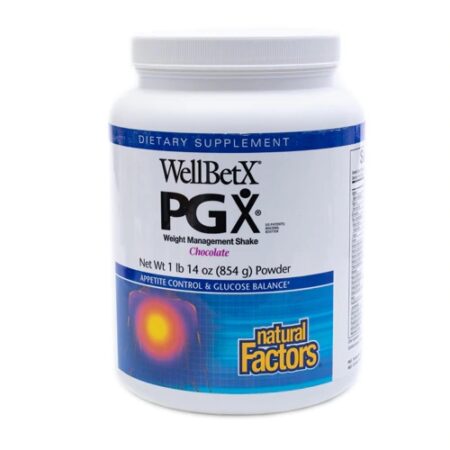 Natural Factors WellBetX PGX® Weight Management Shake Chocolate -- 1 lb