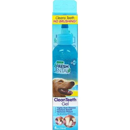 Naturel Promise Fresh Dental Clean Teeth Gel -- 4 oz