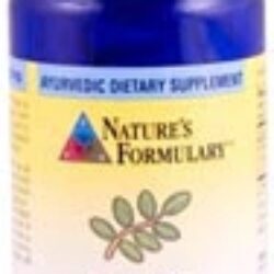 Nature's Formulary Boswellia - 60 Cápsulas Vegetarianas: Saúde Articular e Bem-Estar