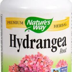 Nature's Way Raiz de Hortênsia 370mg - 100 Cápsulas Vegetarianas | Suporte Renal e Saúde Geral