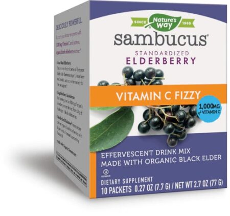 Nature's Way Sambucus Fizzy™ Elderberry -- 10 Packets