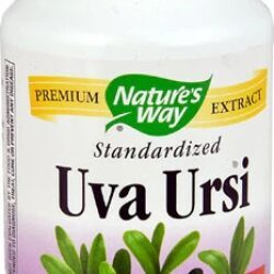 Nature's Way Uva Ursi Padronizado - 60 Cápsulas Vegetais | Saúde Urinária