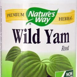 Nature's Way Wild Yam Root - Raiz de Inhame Selvagem - 425mg - 180 Cápsulas Vegetarianas | Saúde da Mulher