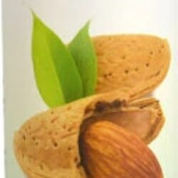 Óleo de Amêndoas Doces Orgânico NOW Foods Solutions 237ml - Nutrição Pura para Pele e Bem-Estar