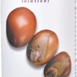 Óleo de Noz de Karité NOW Foods Solutions 473ml - Hidratação Profunda e Bem-Estar Natural