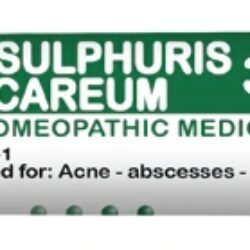 Ollois Hepar Sulphuris Calcareum 30c - 80 Pellets: Saúde e Bem-Estar Natural