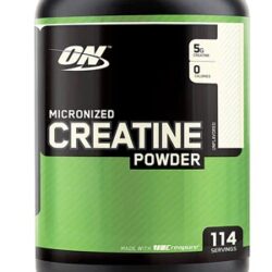 Creatina Micronizada Optimum Nutrition Sabor Neutro - 600g | Potência Muscular Garantida
