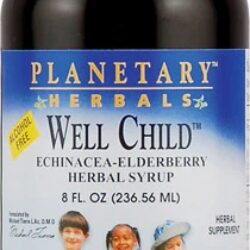 Xarope Herbal Planetary Herbals Well Child Echinacea-Elderberry 237ml - Imunidade Infantil