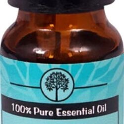 Óleo Essencial de Wintergreen 100% Puro Plantlife - 9.75ml | Alívio Natural e Revigorante