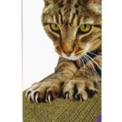 SmartyKat Super Scratcher - Arranhador de Papelão Premium (1 Unidade)