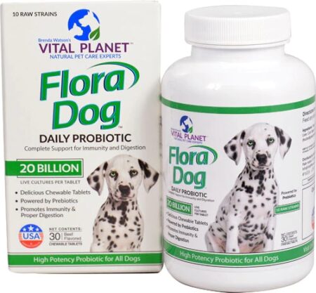 Vital Planet Flora Dog Daily Probiotic Beef -- 20 billion - 30 Chewable Tablets