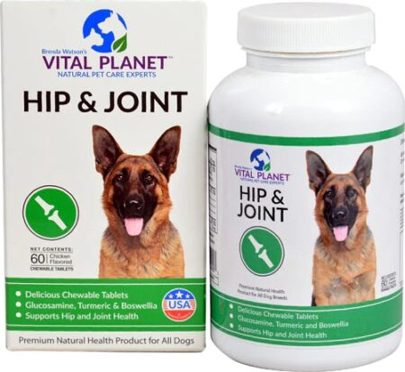 Vital Planet Hip & Joint For Dogs Chicken -- 60 Chewable Tablets