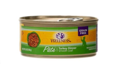 Wellness Pate Cat Food Grain Free Turkey -- 5.5 oz