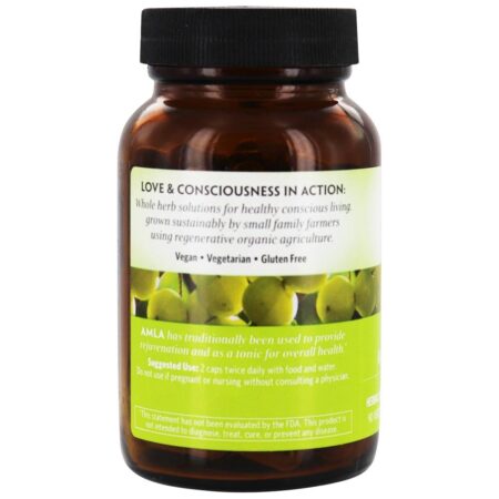 Superfruta Rejuvenescedora Amla Orgânica - Cápsulas vegetarianas 90 Organic India - Image 3