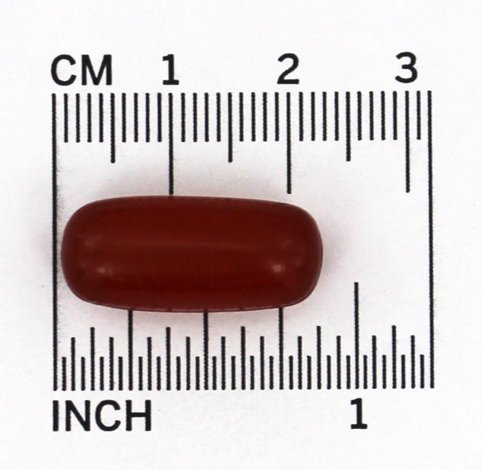 Omega-3 DHA + EPA 500 mg. - 60 Cápsulas Vegetarianas Ovega-3 - Imagem 4
