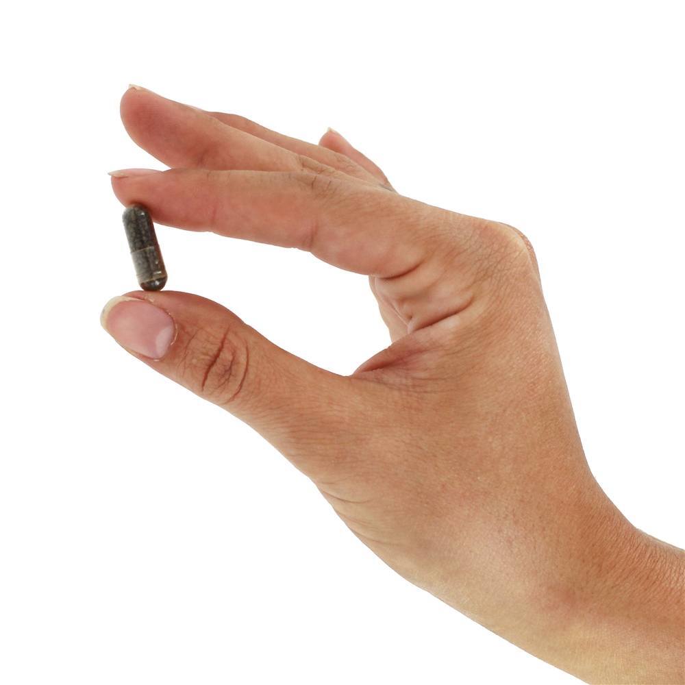LiverCare Para a Manutenção da Saúde do Fígado - Cápsulas vegetarianas 180 Himalaya Herbal Healthcare - Imagem 6