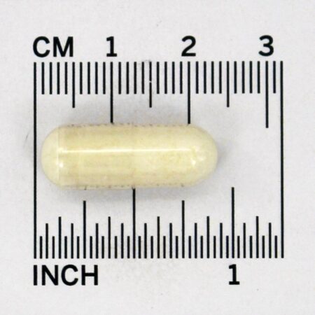 100 % Pure Cartilagem de Tubarão 750 mg. - Cápsulas 90 Solgar - Imagem 5