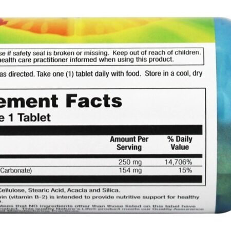B2 250 mg. - 100 Tablets Nature's Life - Imagem 2