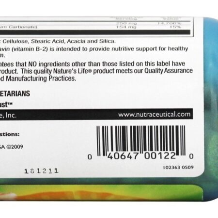 B2 250 mg. - 100 Tablets Nature's Life - Imagem 3
