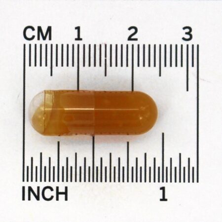 Óleo de Manteiga Real de Gelo Azul / Mistura Fermentada de Óleo de Fígado de Bacalhau - Cápsulas 120 Green Pasture Products - Imagem 4