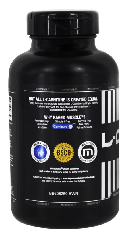 L-Carnitina Carnipure 500 mg. - 250 Cápsula (s) vegetal (s) Kaged Muscle - Image 3