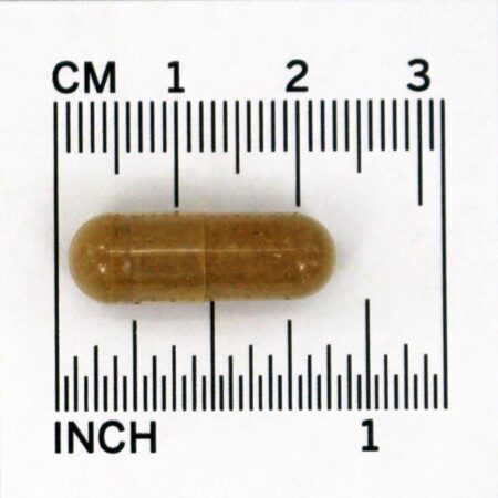 Raiz de alcaçuz 450 mg. - Cápsulas 100 NOW Foods - Imagem 4