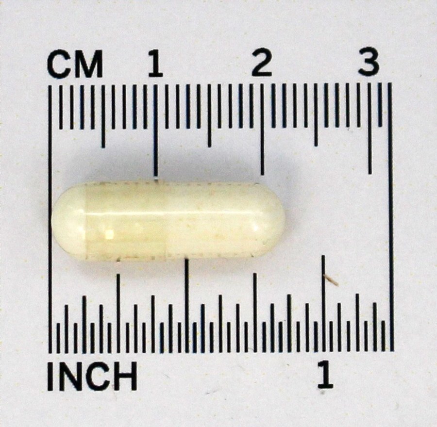 PB 8 Probiótico Para a Saúde Digestiva 14 Bilhões de UFC - Cápsulas 120 Nutrition Now - Imagem 5