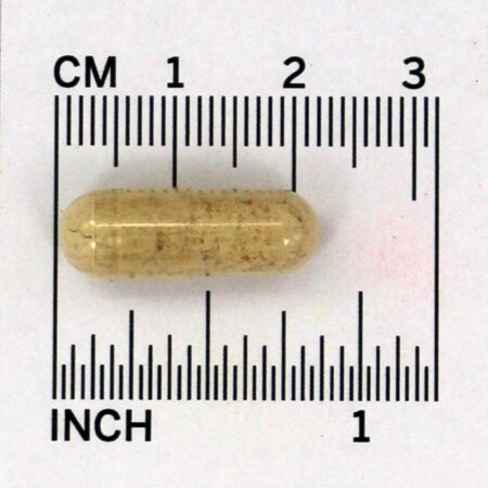 Ginseng Vermelho Coreano 518 mg. – Cápsulas 50 Prince of Peace — foto 4
