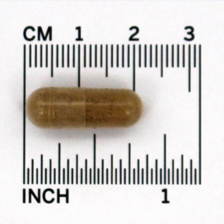 Raiz Cohosh Negra 540 mg. - Cápsulas vegetarianas 180 Nature's Way - Imagem 4