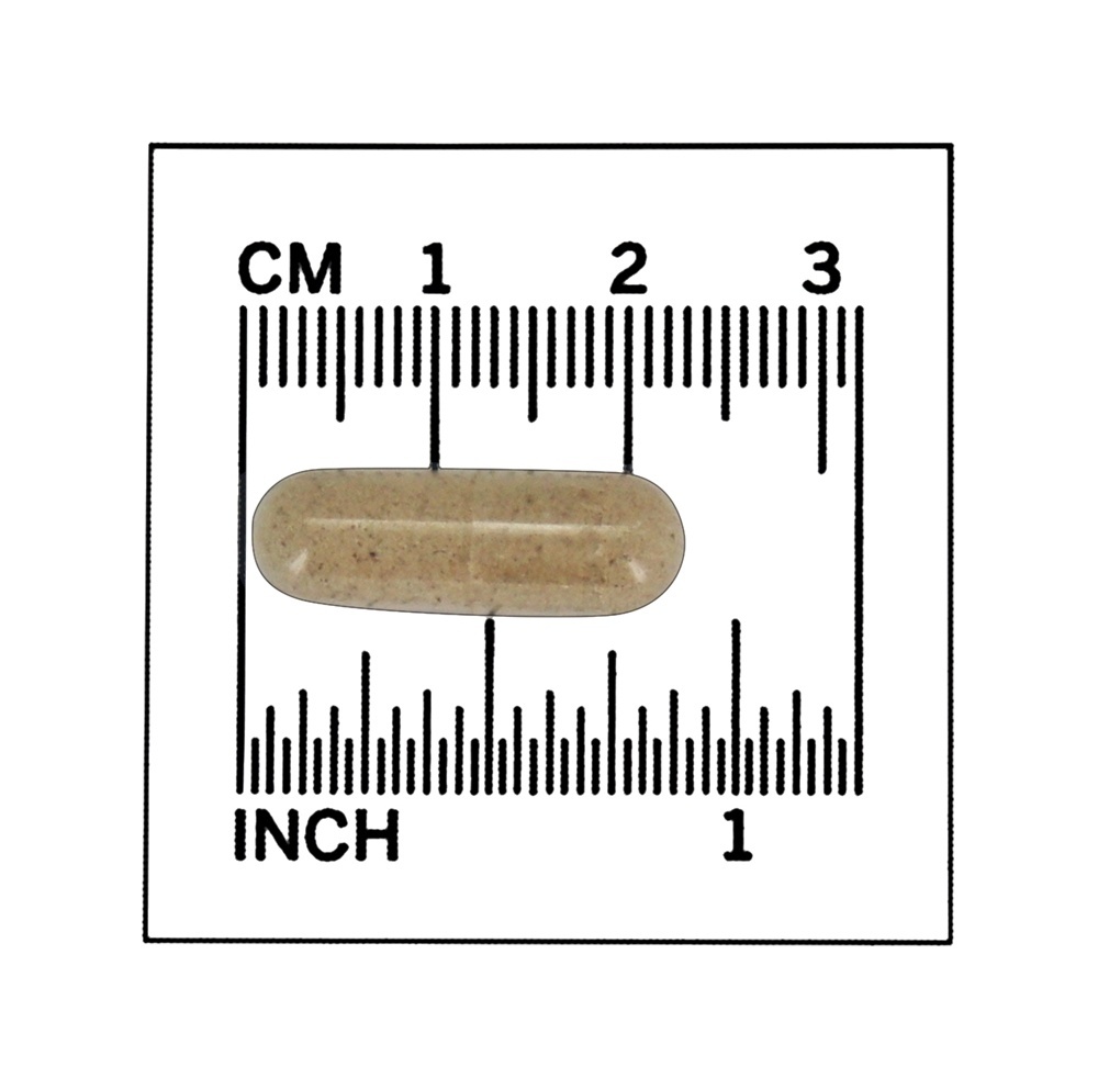 Slippery Elm 400 mg. - 100 Cápsula (s) vegetal (s) NOW Foods - Imagem 4