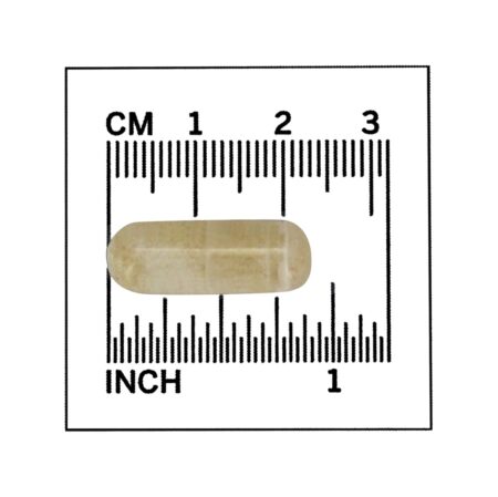 Fórmula de metabolismo saudável Super Citrimax - 90 Cápsula (s) vegetal (s) NOW Foods - Image 4