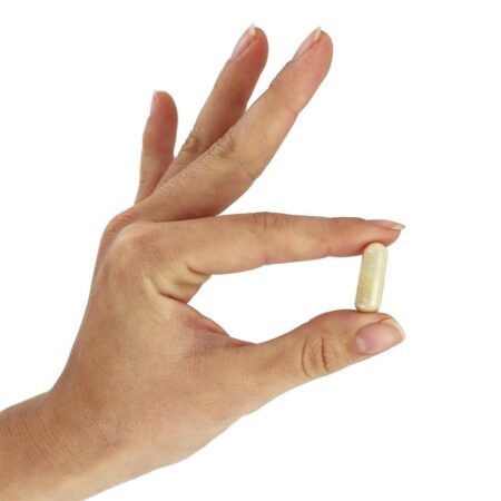 Alpha Força Extra de Ácido Lipóico 600 mg . - 120 Cápsula (s) vegetal (s) NOW Foods - Imagem 5