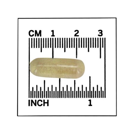 Ácido Alpha-Lipóico 600 mg. - 60 Cápsula (s) vegetal (s) NOW Foods - Imagem 4