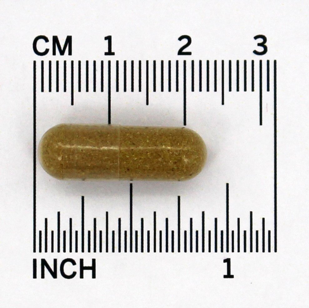 Semente de erva-doce 480 mg. - Cápsulas vegetarianas 100 Nature's Way - Imagem 4