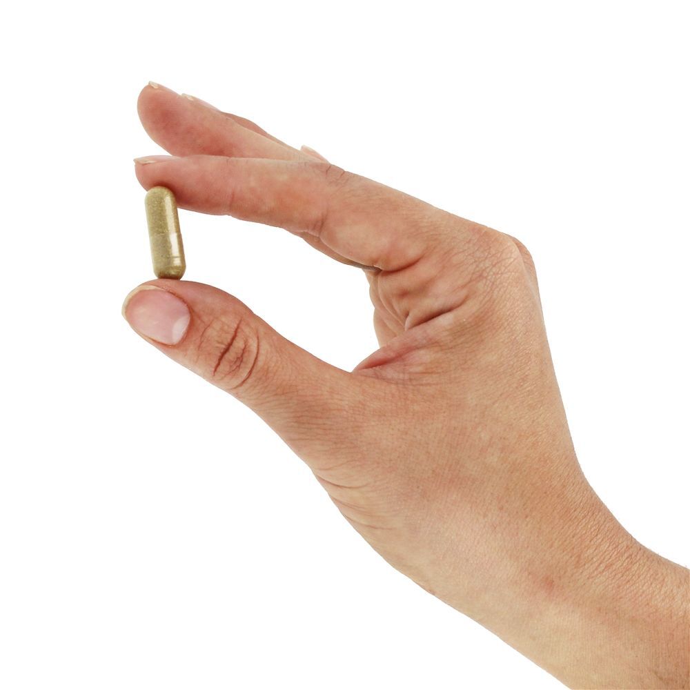 Semente de erva-doce 480 mg. - Cápsulas vegetarianas 100 Nature's Way - Imagem 5