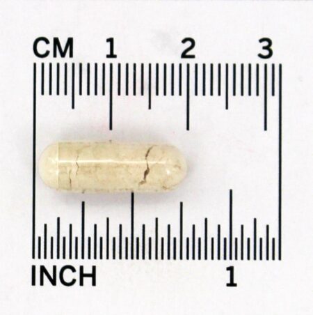 Pancreatina Alta Potência 10X 200 mg. - Cápsulas 250 NOW Foods - Image 4