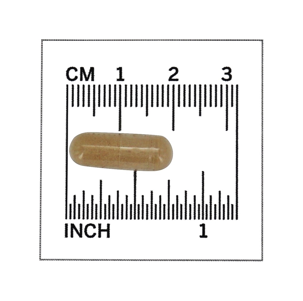 Depuradores Radicais Livres de Pycnogenol 30 mg. - 60 Cápsula (s) vegetal (s) NOW Foods - Imagem 4